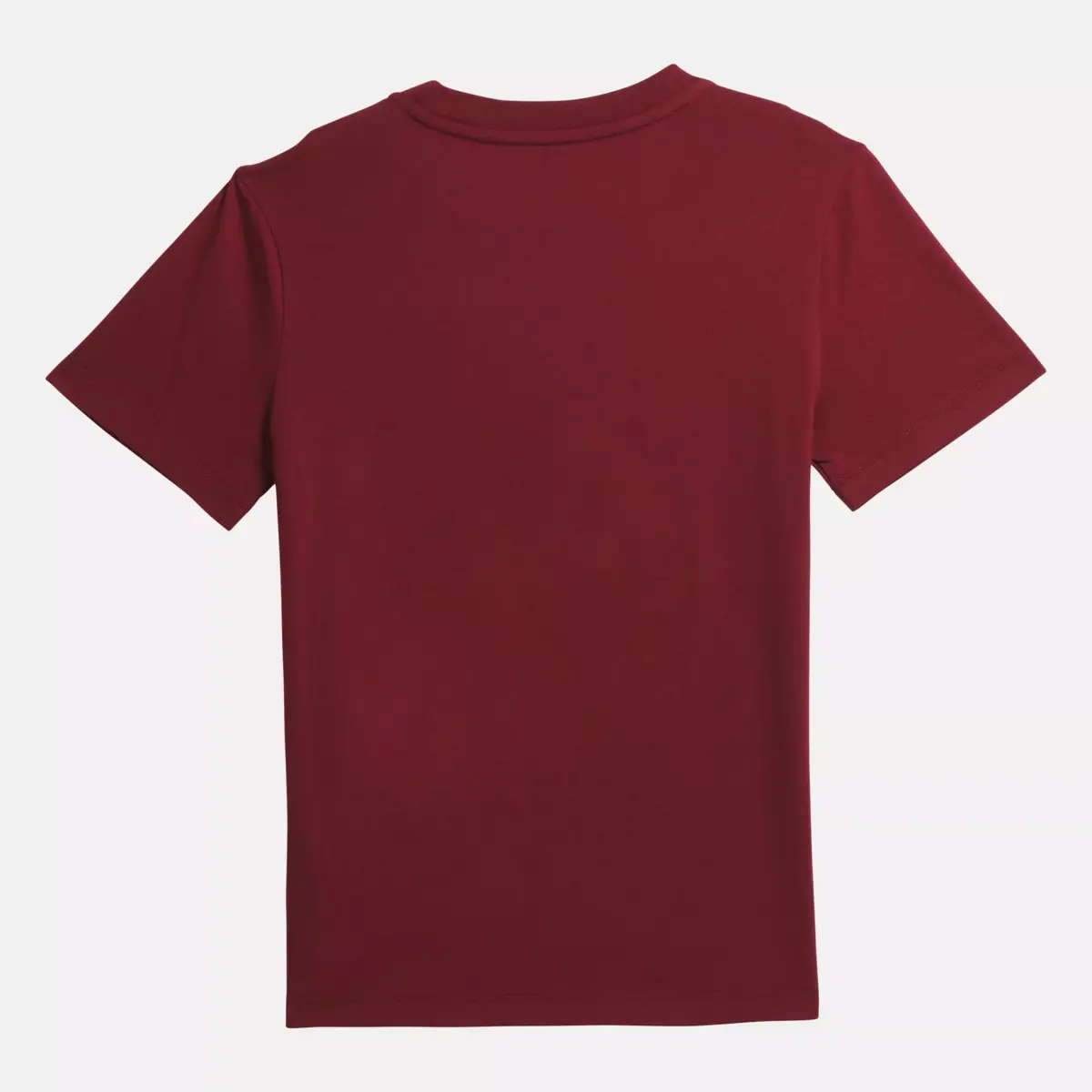 Reebok Identity T-Shirt – Große Kinder