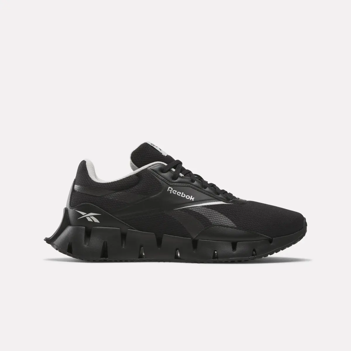 Zig Dynamica STR Schuhe